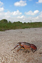 BUITEN BEELD Foto: 451067