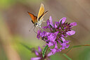 BUITEN BEELD Foto: 451081