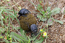 BUITEN BEELD Foto: 451084