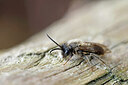 BUITEN BEELD Foto: 451088