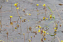 BUITEN BEELD Foto: 451107