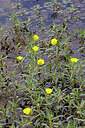 BUITEN BEELD Foto: 451108