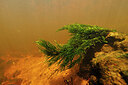 BUITEN BEELD Foto: 451120