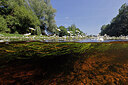 BUITEN BEELD Foto: 451127