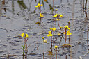 BUITEN BEELD Foto: 451131