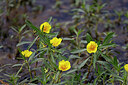 BUITEN BEELD Foto: 451142