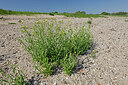BUITEN BEELD Foto: 451146