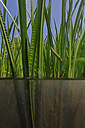 BUITEN BEELD Foto: 451161