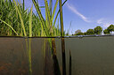 BUITEN BEELD Foto: 451169