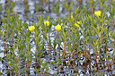 BUITEN BEELD Foto: 451170