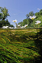 BUITEN BEELD Foto: 451176