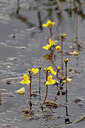 BUITEN BEELD Foto: 451185