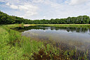 BUITEN BEELD Foto: 451189