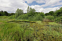 BUITEN BEELD Foto: 451193