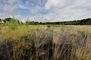 BUITEN BEELD Foto: 451195