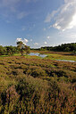 BUITEN BEELD Foto: 451199