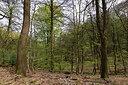 BUITEN BEELD Foto: 451214