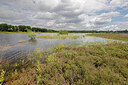 BUITEN BEELD Foto: 451218