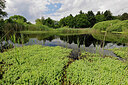 BUITEN BEELD Foto: 451219