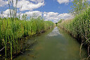 BUITEN BEELD Foto: 451224