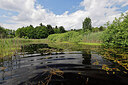 BUITEN BEELD Foto: 451239