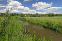 BUITEN BEELD Foto: 451242