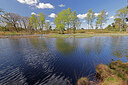 BUITEN BEELD Foto: 451246