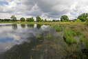 BUITEN BEELD Foto: 451247