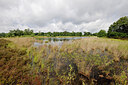 BUITEN BEELD Foto: 451248