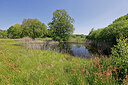 BUITEN BEELD Foto: 451249