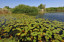 BUITEN BEELD Foto: 451250