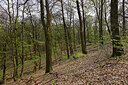 BUITEN BEELD Foto: 451251