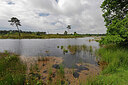 BUITEN BEELD Foto: 451253