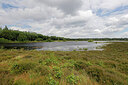 BUITEN BEELD Foto: 451254