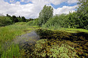 BUITEN BEELD Foto: 451255