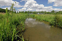 BUITEN BEELD Foto: 451259