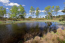 BUITEN BEELD Foto: 451262