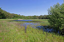BUITEN BEELD Foto: 451264