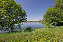 BUITEN BEELD Foto: 451267