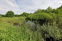 BUITEN BEELD Foto: 451268