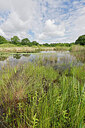BUITEN BEELD Foto: 451278
