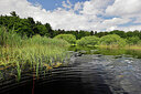 BUITEN BEELD Foto: 451282