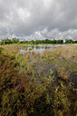 BUITEN BEELD Foto: 451284