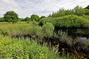 BUITEN BEELD Foto: 451290