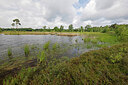 BUITEN BEELD Foto: 451291