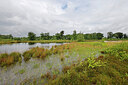 BUITEN BEELD Foto: 451292