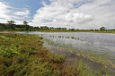 BUITEN BEELD Foto: 451295