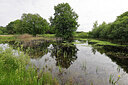 BUITEN BEELD Foto: 451297