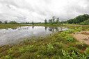 BUITEN BEELD Foto: 451300