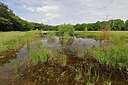 BUITEN BEELD Foto: 451302